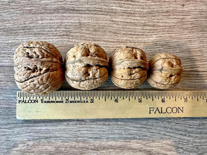 Walnuts