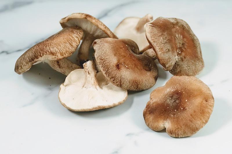 Shiitake