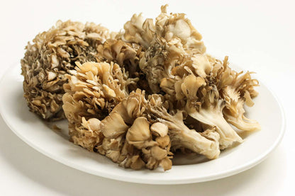 Maitake