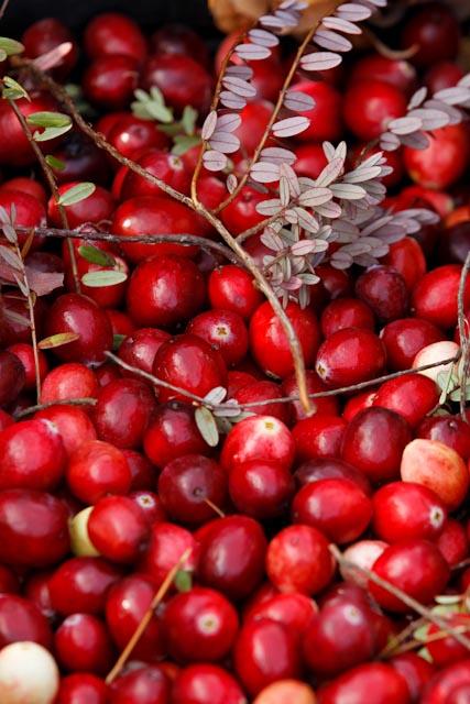 Organic Cranberries