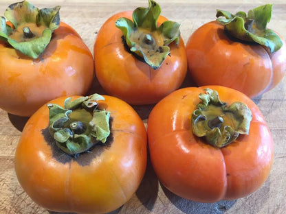 Hachiya Persimmons