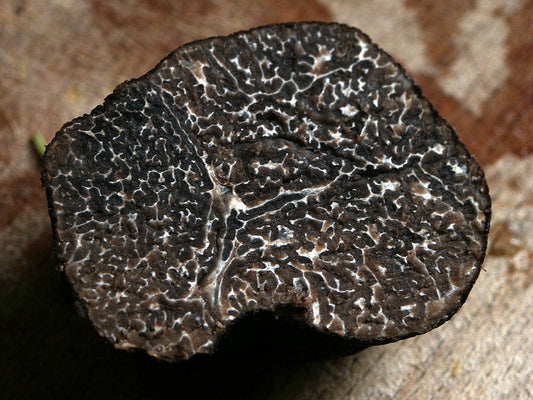 Périgord Black Winter Truffles