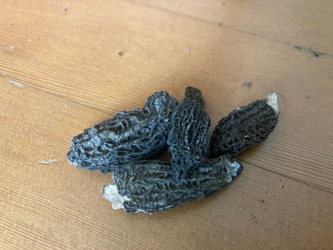 Dried Wild Morel