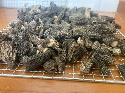 Dried Wild Morel