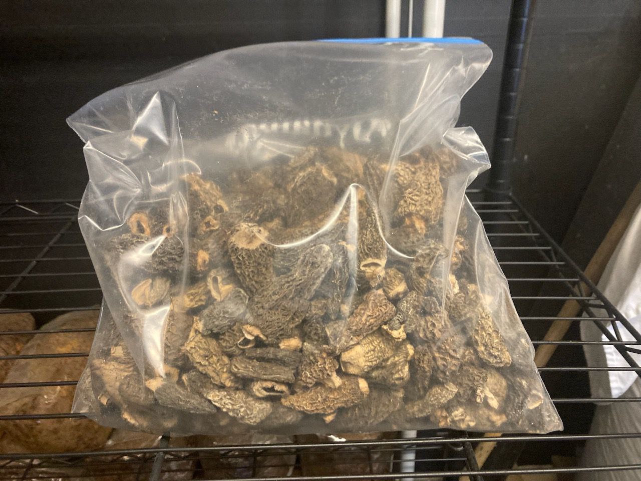 Dried Wild Morel